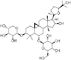 Polvo antienvejecedor el 98+% Astragaloside IV de Methoxyisoflavone tensión anti 84687 43 4
